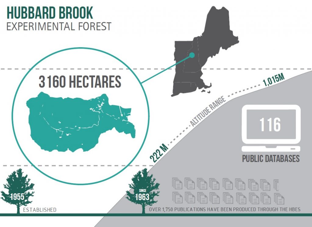 hubbard brook, infographic, science