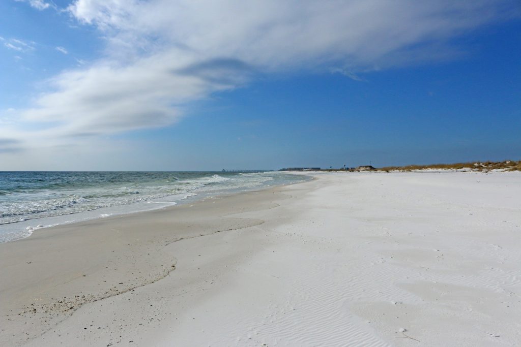 beach, florida, nature