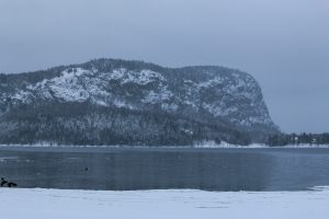 moosehead, maine, birding, winter