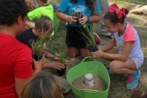 nature, florida, field trip