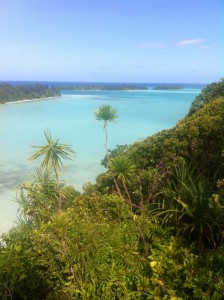 The view from atop Ngemelis' lookout post.