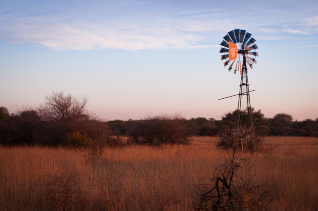 I had only seen African savannahs in documentaries, I could hardly believe that I was actually in one now. 