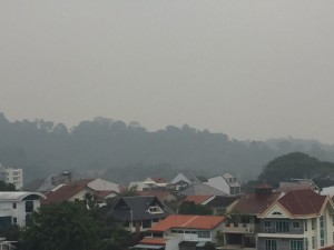 Based at Yale-NUS, Dr. Hsu raised the example of transnational air pollution with haze from Indonesia blowing over to Singapore, an annual event I'm highly familiar with.
