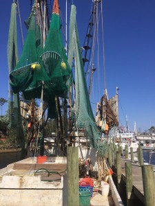 Trawlers docked for winter repairs at Snead's Ferry