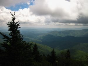 Pisgah National Forest, it only grows more beautiful each time I see it.