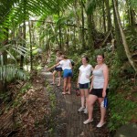 El Yunque Rain Forest