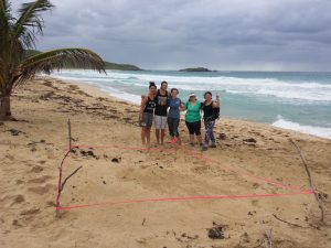 Second leatherback nest we found on Brava!