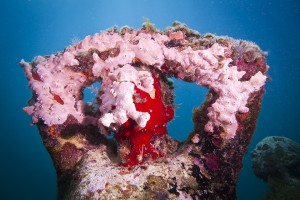 http://www.underwatersculpture.com/sculptures/the-silent-evolution/