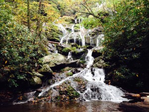 A portion of the Catawba Falls