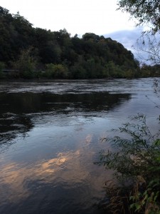 The French Broad River at sunset