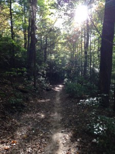 A snapshot of the trail we hiked near Asheville