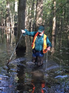 Dr. Curtis Richardson demonstrating taking substrate samples in a wetland.