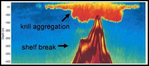 krill_volcano_picture_3_sm