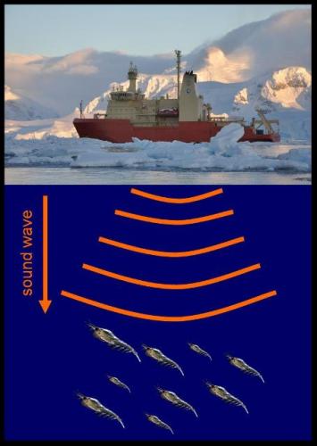 transducer_illustration_photo_2_sm
