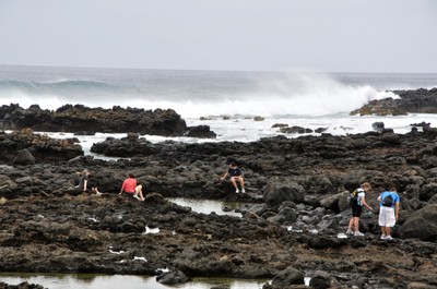 CEMs tidepooling in the volcanic rock at Ka'ena Point