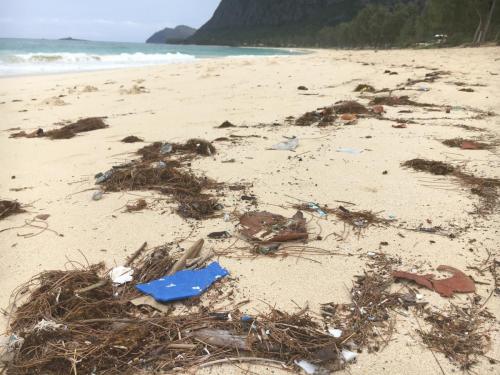 Marine Debris on Waimanalo Beach