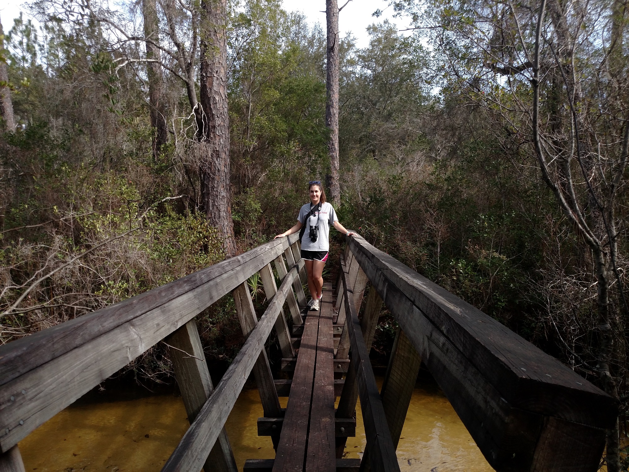 Hiking the Florida Scenic Trail – Outdoor Devil