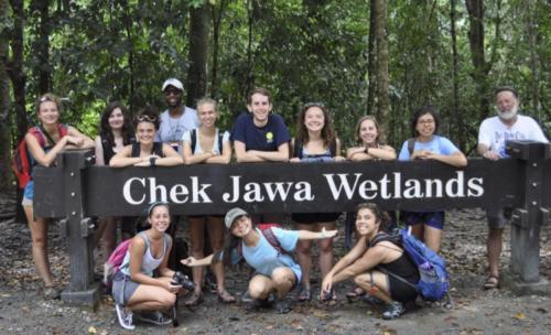 Chek Jawa Sign