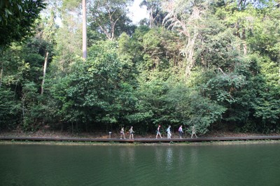 MacRitchie Boardwalk